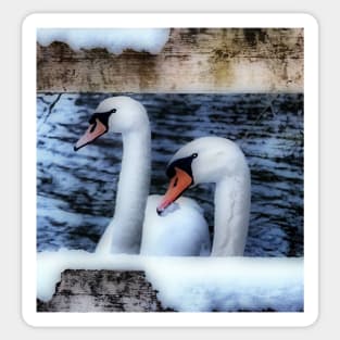 Two swans in the snow Sticker